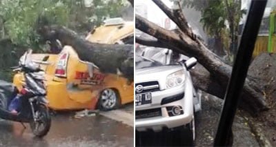 Hujan Badai, Tewaskan Dua Karyawan RS Adam Malik, Satu Bocah di Tanjunganom