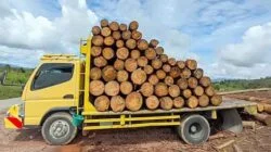 Diduga Angkut Kayu Illegal Logging, DLHK Sumut Amankan Truk di Taput