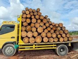 Diduga Angkut Kayu Illegal Logging, DLHK Sumut Amankan Truk di Taput